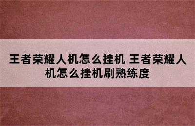 王者荣耀人机怎么挂机 王者荣耀人机怎么挂机刷熟练度